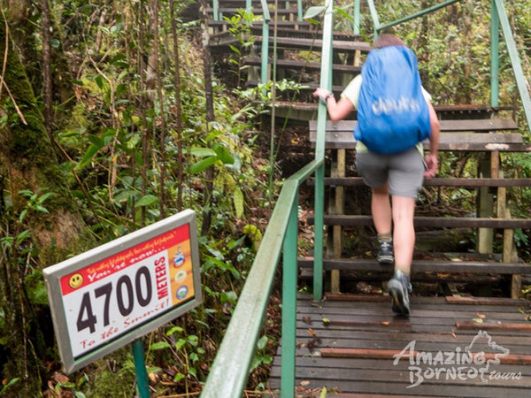 2D1N Mount Trus Madi Climb