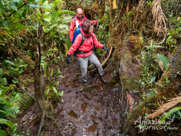 3D2N Mount Trus Madi Climb