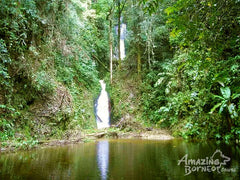 2D1N Mount Trus Madi Climb