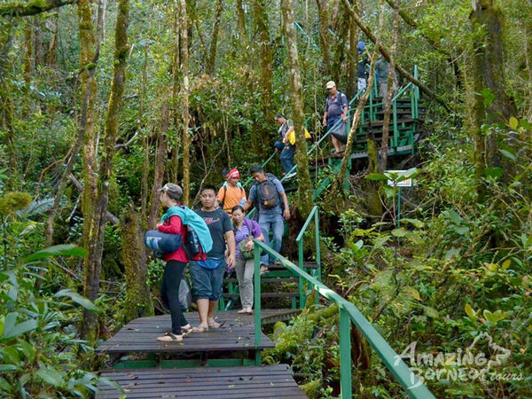 3D2N Mount Trus Madi Climb