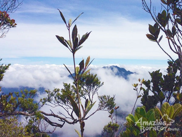 3D2N Mount Trus Madi Climb