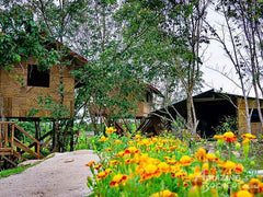 4D3N Mount Trus Madi Climb