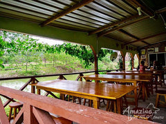 4D3N Mount Trus Madi Climb