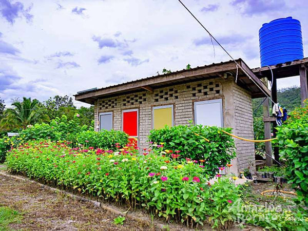 4D3N Mount Trus Madi Climb